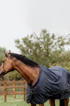 kentucky Couverture De Paddock Horsewear 300Gr Db/Ab Discount