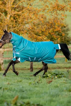 horseware Couverture D'Exterieur Amigo Bravo 12 Plus, 400 G Storm Green Clearance