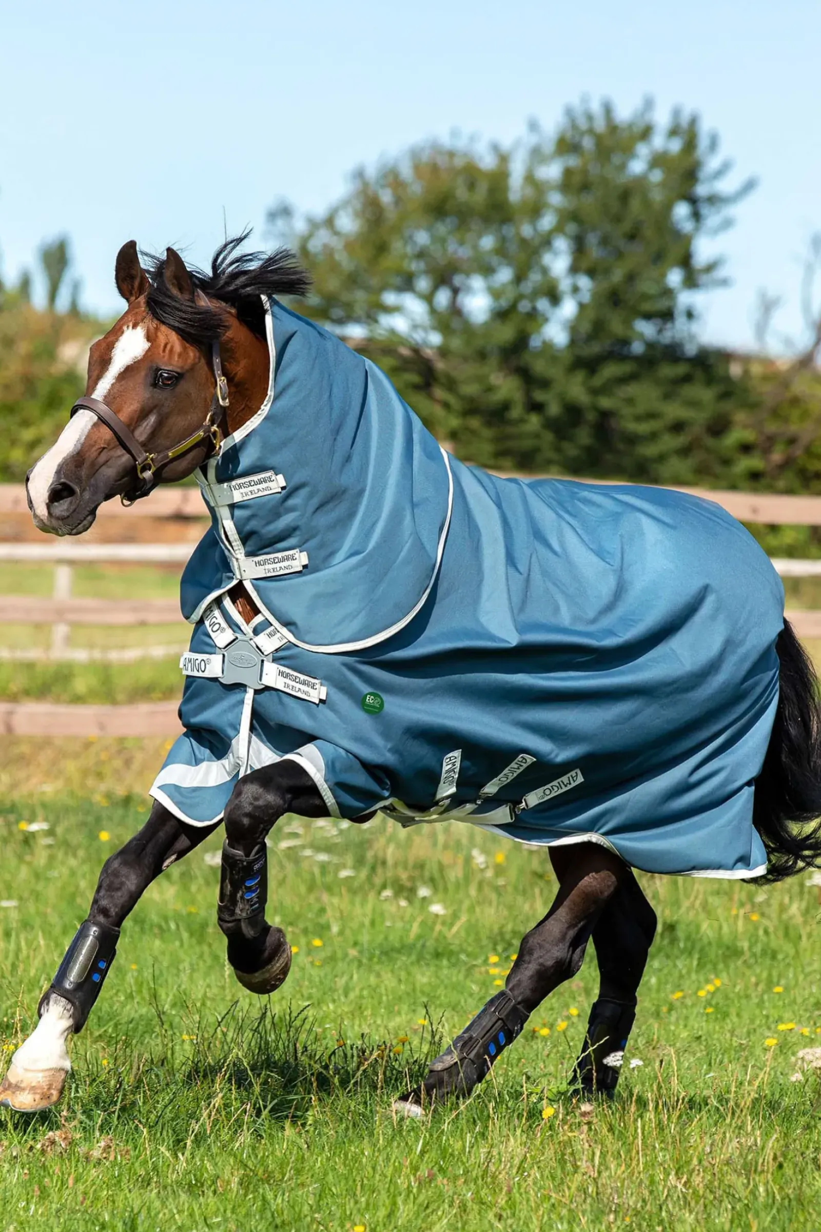 horseware Couverture D'Exterieur Ameco Bravo 12 Plus Couvre-Encolure, 100 G Teal/ Grey Outlet