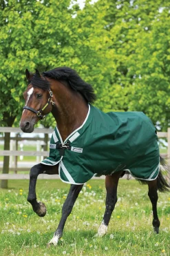 horseware Couverture D'Exterieur Rambo Original Avec Soufflets D'Aisance, 0 G Green/Silver Best