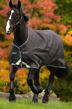 horseware Couverture D'Exterieur Amigo Bravo 12, 100 G Excalibur Dark Grey/Strong Blue/Black Online