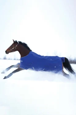 horseware Couverture D'Exterieur Amigo Hero 900 T / O Medium, 200 G Aqua Blue/Ivory White Online