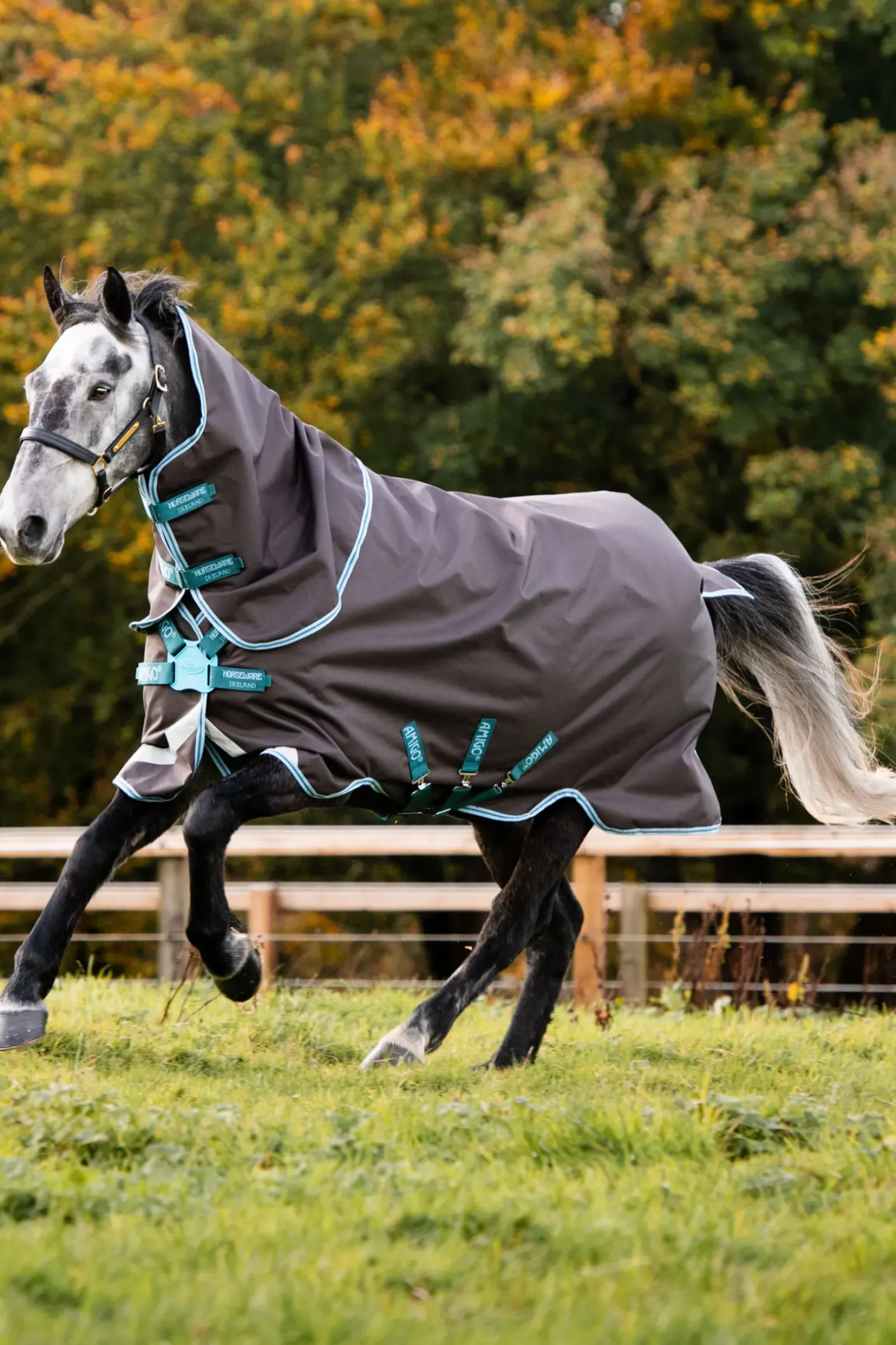 horseware Couverture D'Exterieur Amigo Bravo 12 Plus Fermeture Disque, 250 G Excalibur/Aqua & Turquoise New