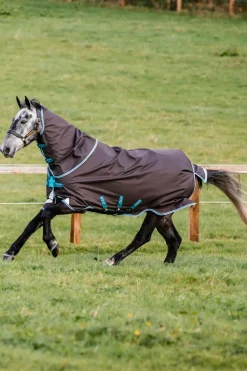 horseware Couverture D'Exterieur Amigo Bravo 12 Plus Fermeture Disque, 250 G Excalibur/Aqua & Turquoise New