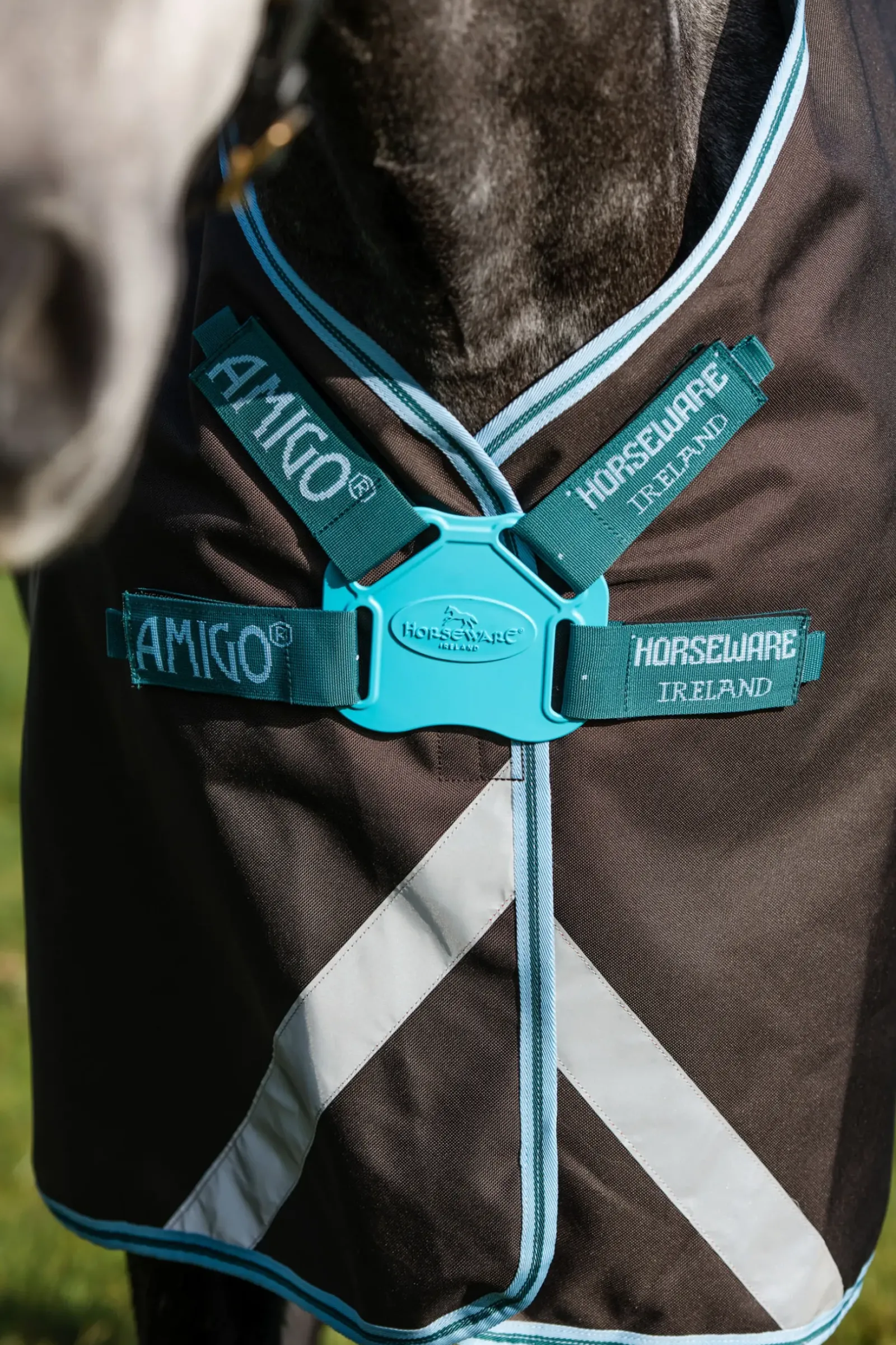 horseware Couverture D'Exterieur Amigo Bravo 12 Plus Fermeture Disque, 250 G Excalibur/Aqua & Turquoise New