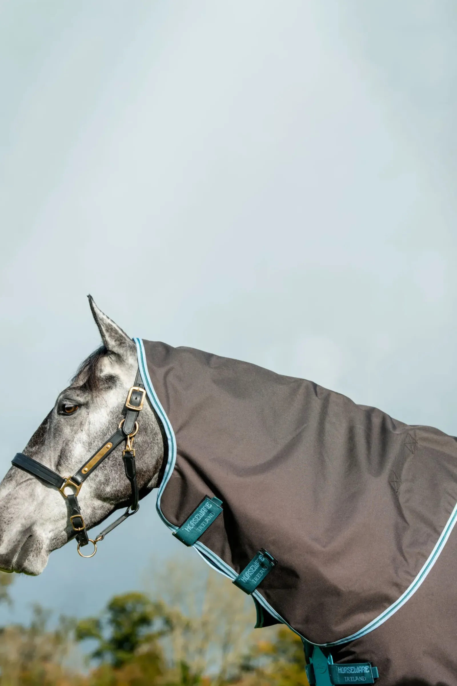 horseware Couverture D'Exterieur Amigo Bravo 12 Plus Fermeture Disque, 250 G Excalibur/Aqua & Turquoise New