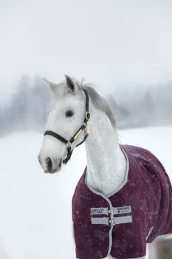 horseware Couverture D'Exterieur Amigo Hero Ripstop Antidechirure, 200 G Fig/Silver Best