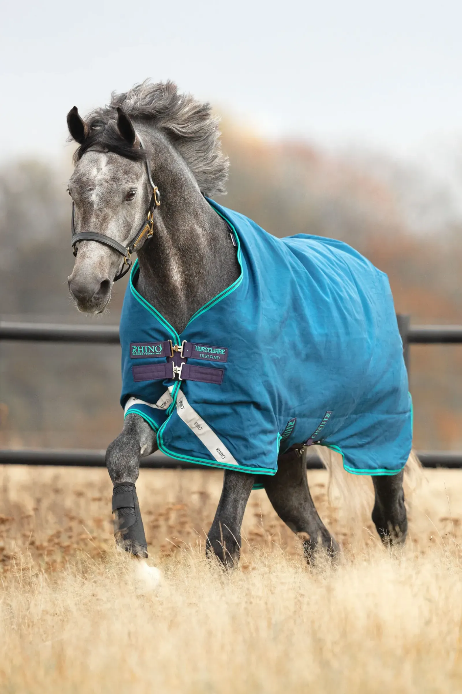 horseware Couverture D'Exterieur Rhino Original Legere Navy/Airblue Hot