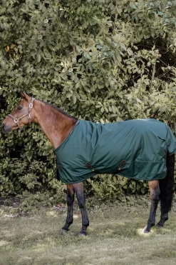 kentucky Couverture D'Exterieur Horsewear Tout Temps 160 G Dark Green Online