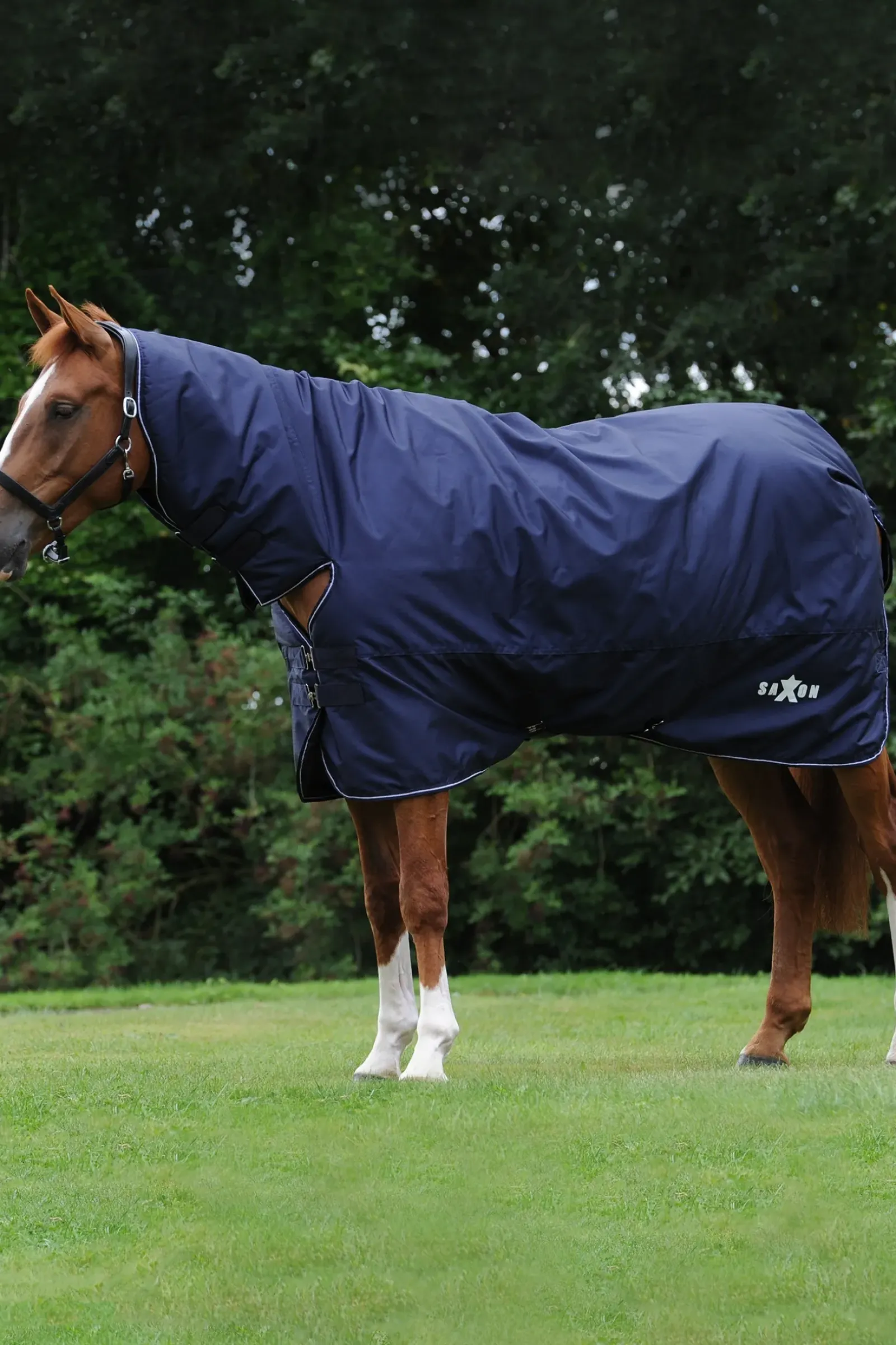 saxon Couverture D'Exterieur Defiant 600D Couvre-Encolure Combo Epaisse, 300 G Dark Blue/White Best