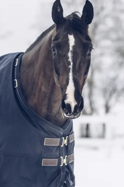 kentucky Couverture D'Exterieur Tout Temps Impermeable Horsewear Classic, 300 G Db/Ab Outlet