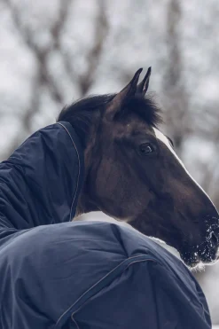 kentucky Couverture D'Exterieur Tout Temps Impermeable Horsewear Classic, 300 G Db/Ab Outlet