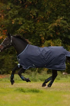 horseware Couverture Amigo 12 T/O Med W/La, 250 G Dark Blue/Blue/Black Sale