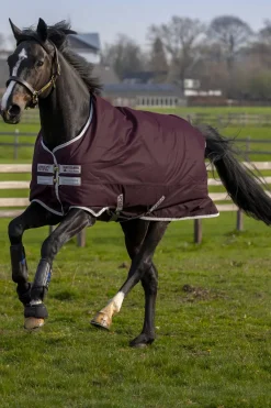 horseware Couverture Amigo Hero Anti-Dechirure Fl/Lnd Doublure En Polaire 50 G Fig/Fig Outlet
