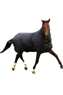 horseware Couverture Trot Plus, Epaisse, 350G. Black/Black/Tan Brown Outlet
