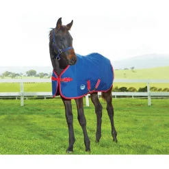 weatherbeeta Couverture Poulain 1200 D, Epaisseur Moyenne, , 220 G Dark Blue/Red/White