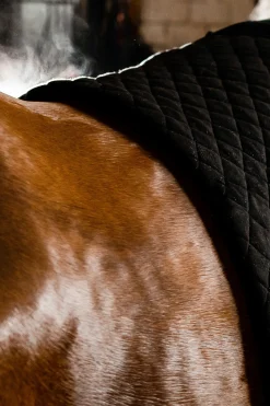 horseware Couverture Sechante D'Automne Black/Aqua Online