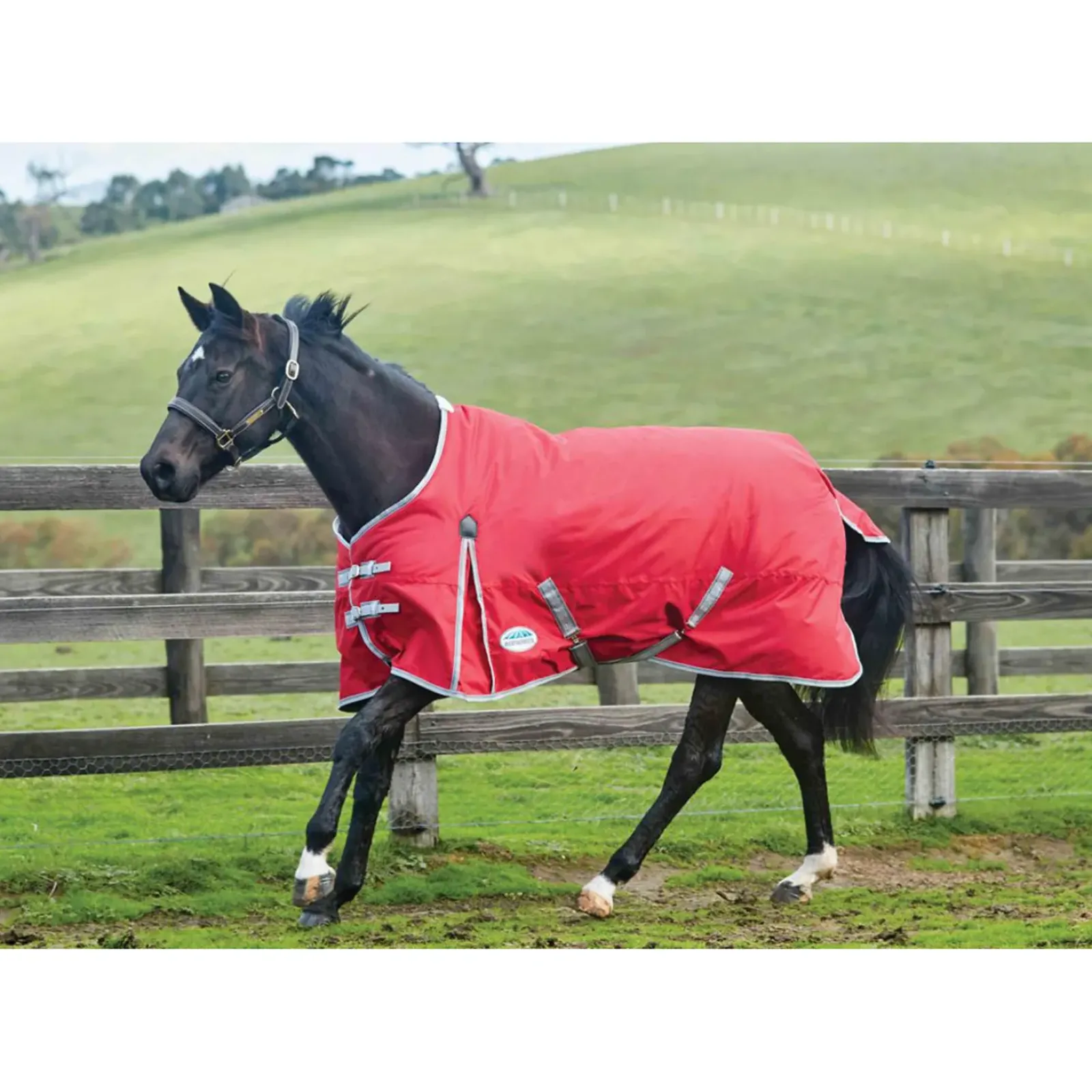 weatherbeeta Couverture Comfitec Classic, Tour D'Encolure Standard 220G Red/Silver/Navy Hot