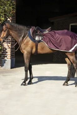 horseware Couvre-Reins Amigo Ripstop Fig/Navy/Tan Online