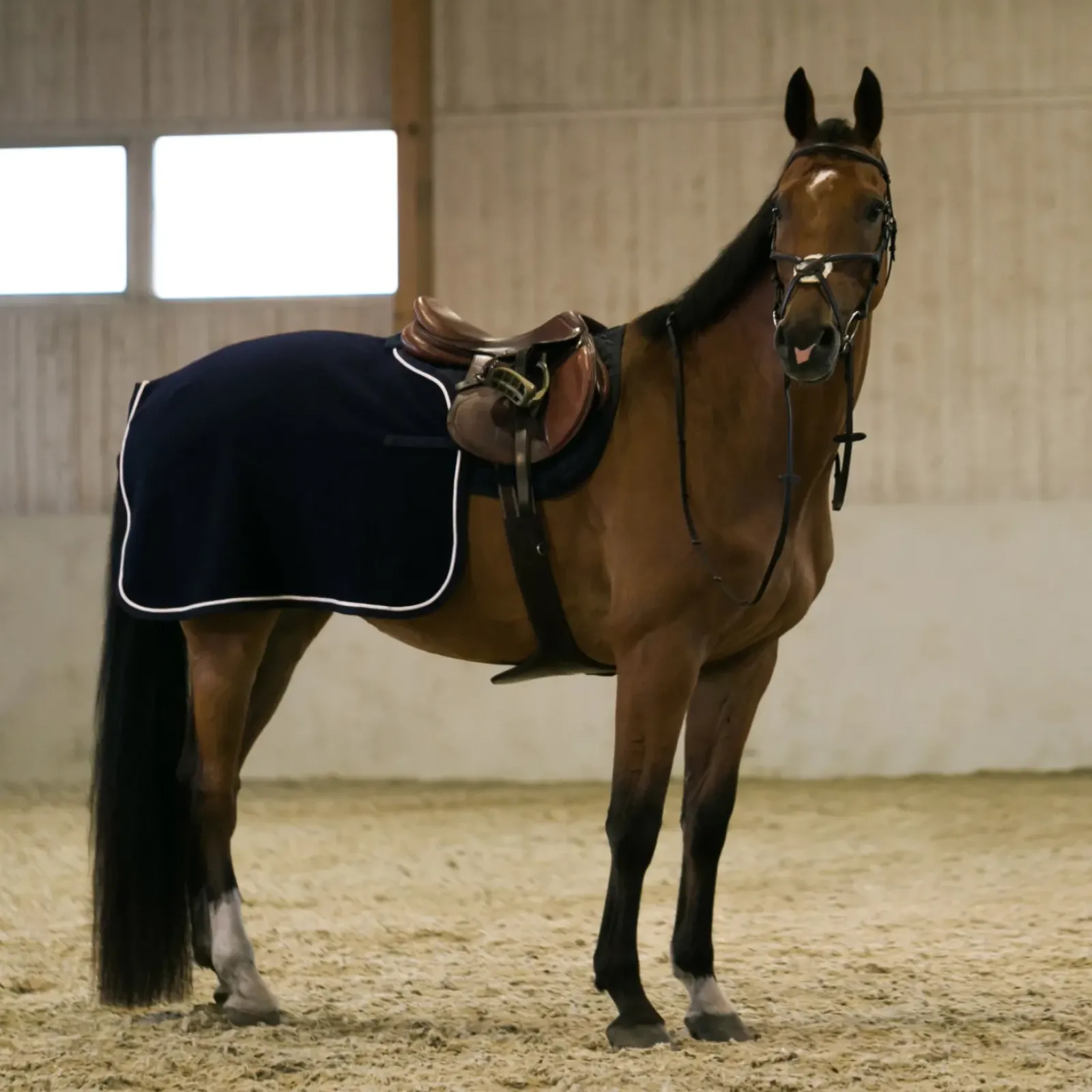 horze Couvre-Reins Laine Vail Bleu Fonce Peacoat