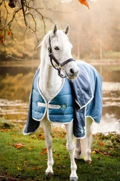 horseware Doublure Eco Liner, 300 G Teal/ Grey Discount