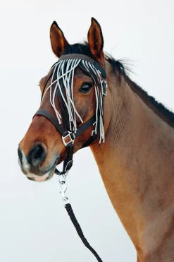 horze Ensemble Licol, Longe Et Bonnet Anti-Mouches Moreton After Dark Brown Clearance