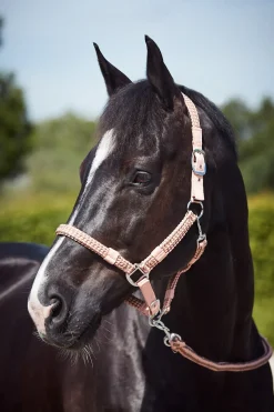 horze Ensemble Tresse Licol Et Longe Coventry Coral Pink/ Coca Moca Brown Discount