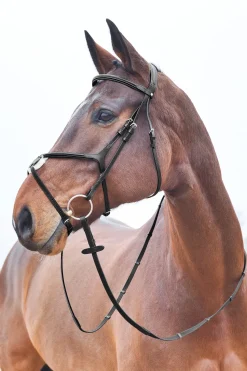 horze Filet A Muserolle Croisee Prescott Noir New