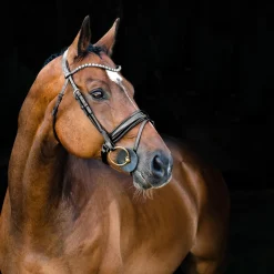 horze Filet Anatomique Clermont Noir Best