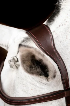horseware Filet De Concours Rambo Micklem 2 Avec Rênes Dark Brown Outlet
