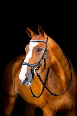 horseware Filet De Concours Rambo Micklem 2 Diamante Black New