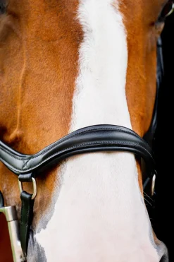 horseware Filet De Concours Rambo Micklem 2 Diamante Black New