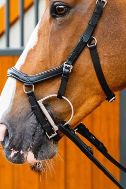 horseware Filet De Concours Rambo Micklem 2 Diamante Black New