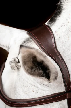 horseware Filet De Concours Rambo Micklem 2 Dark Brown New