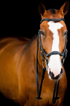 horseware Filet De Concours Rambo Micklem 2 Deluxe Black Clearance