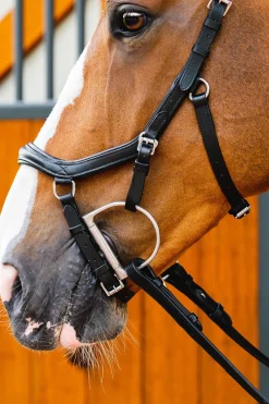 horseware Filet De Concours Rambo Micklem 2 Deluxe Black Clearance