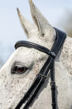 lemieux Filet De Concours Combinee Black Sale