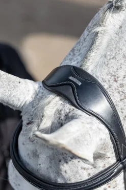 lemieux Filet De Concours Combinee Black Sale