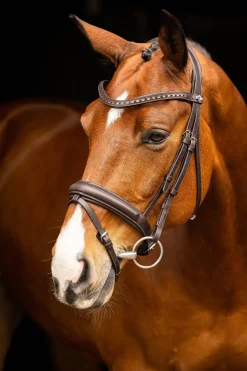 lemieux Filet De Dressage Arika Brown/Silver Hot