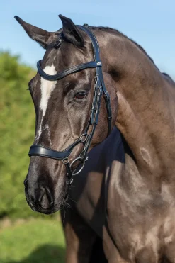 lemieux Filet De Dressage Arika Drop Black/Silver Best