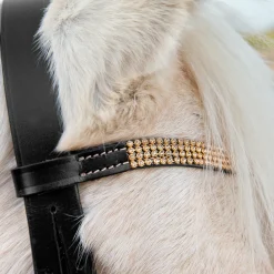 horze Filet Poney Noir/Dore Hot