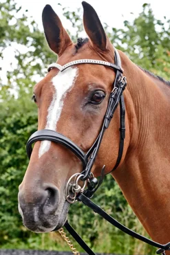 johnwhitaker Filet John Whitaker Lynton Avec Un Frontal De Rechange Black Best