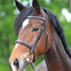 kavalkade Filet Akila Hunter Brown