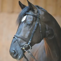 kavalkade Filet Quentin Ecoline , Muserolle Combinee Brown Best