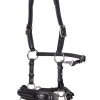 fra Aram Hackamore (System 2) Leather, Jaw Straps, W/ Scissors Black Sale