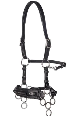 fra Aram Hackamore (System 2) Leather, Jaw Straps, W/ Scissors Black Sale