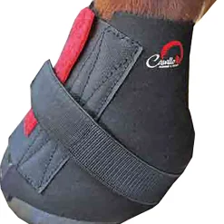 cavallohorseriderfr F.R.A. Bandes Cavallo Bfb Black Hot
