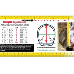 cavallohorseriderfr F.R.A. Bandes Cavallo Bfb Black Hot