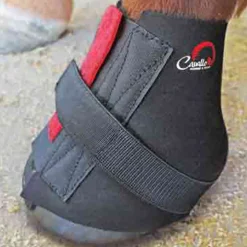 cavallohorseriderfr F.R.A. Bandes Cavallo, Xl Black Outlet
