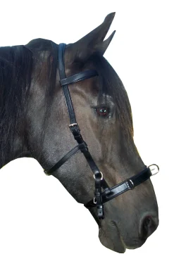 fra F.R.A. Baro Cavesson, Leather (Shire) Black Best